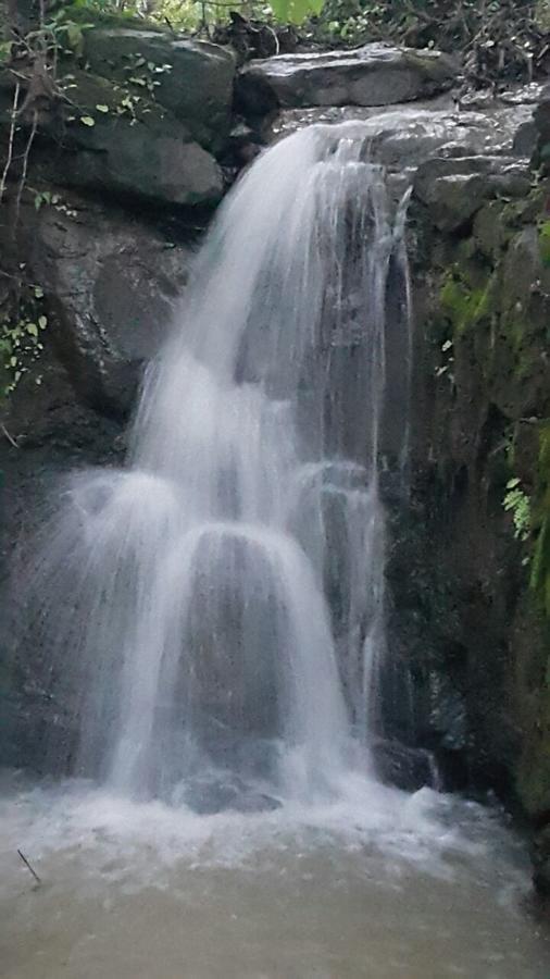 Cherilyn Monta Resort - Ratnagiri Vatul Ngoại thất bức ảnh